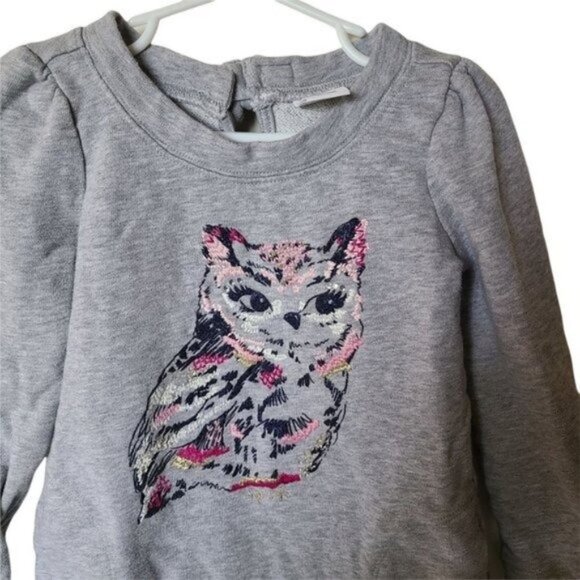Gymboree‎ Tunic Sweatshirt size 5 Years Girls Gray Embroidered Owl Glitter - Picture 3 of 5